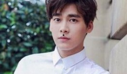 圈内爆料李易峰事件完整版,圈内爆料完整版揭露真相